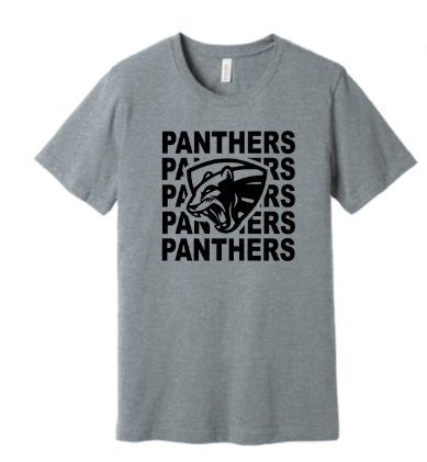 Panthers on Repeat Unisex Tee